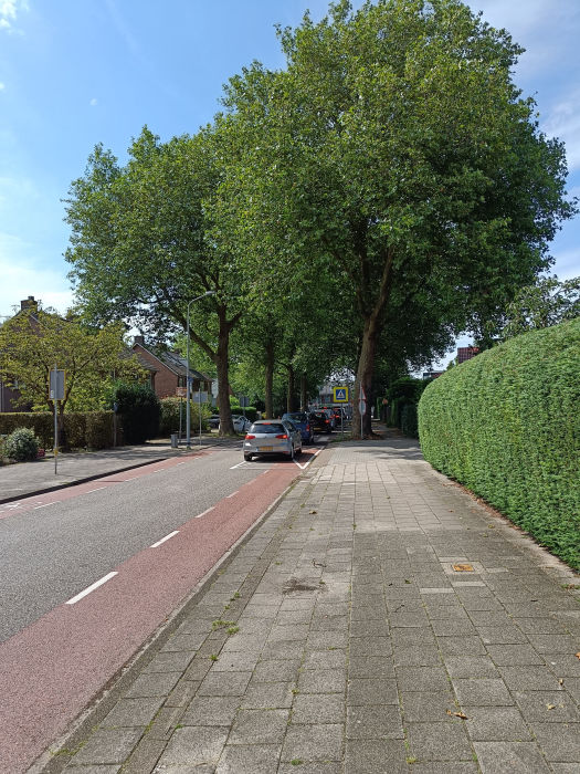 Figuur 2: markering (kruis) op weg bij uitrit Reigerstraat wordt genegeerd