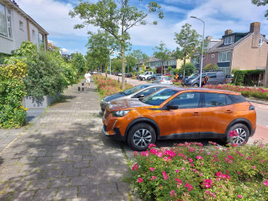 Figuur 21 - Parkerende auto’s met uitritten op Kamerlingh Onneslaan.